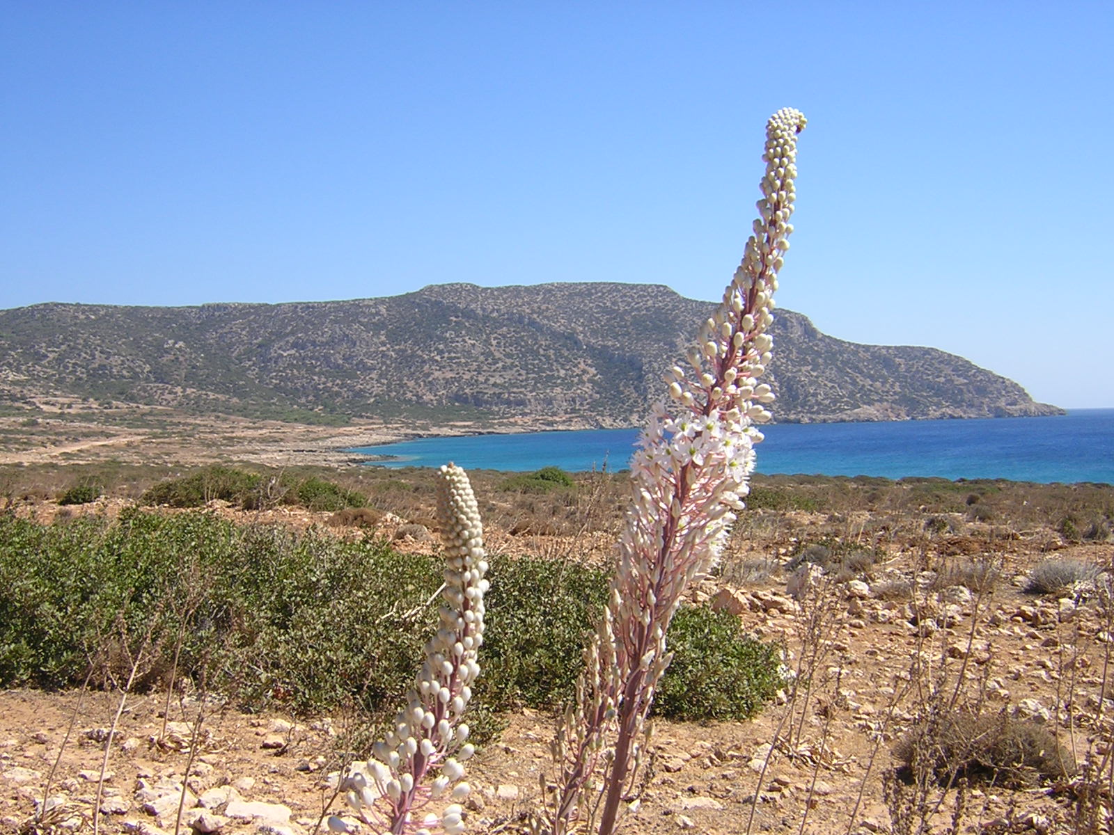 DSCN0491.JPG